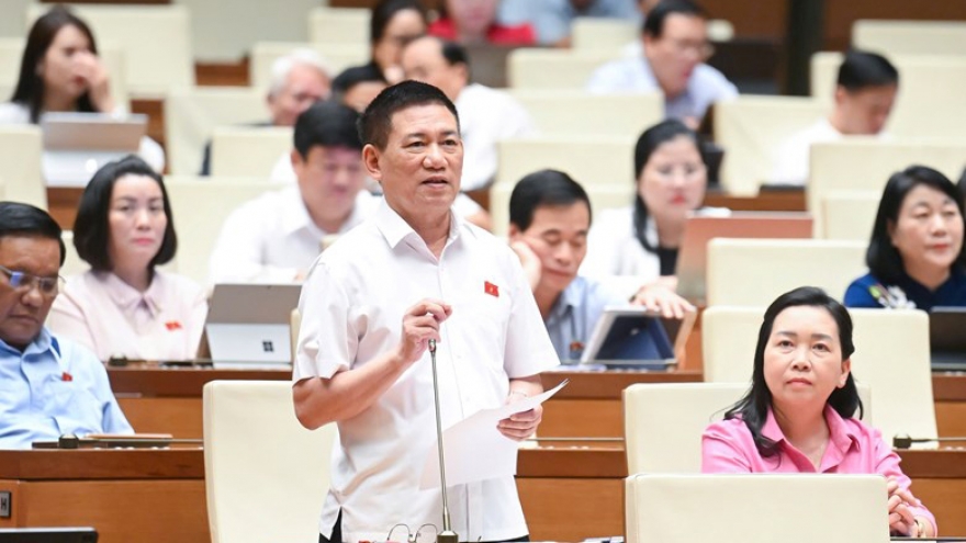 Phó Thủ tướng: Nên thu thuế khoán với hộ kinh doanh nhỏ